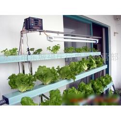 高效农业新篇章 广东无土栽培全产业链与温湿度智能控制系统